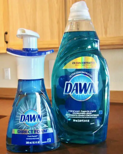 Dish Soap