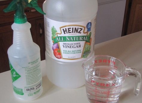 Mix Water and White Vinegar