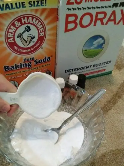 Baking Soda or Borax