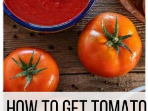 How to Get Tomato Sauce Out of Clothes (Ultimate Guide)