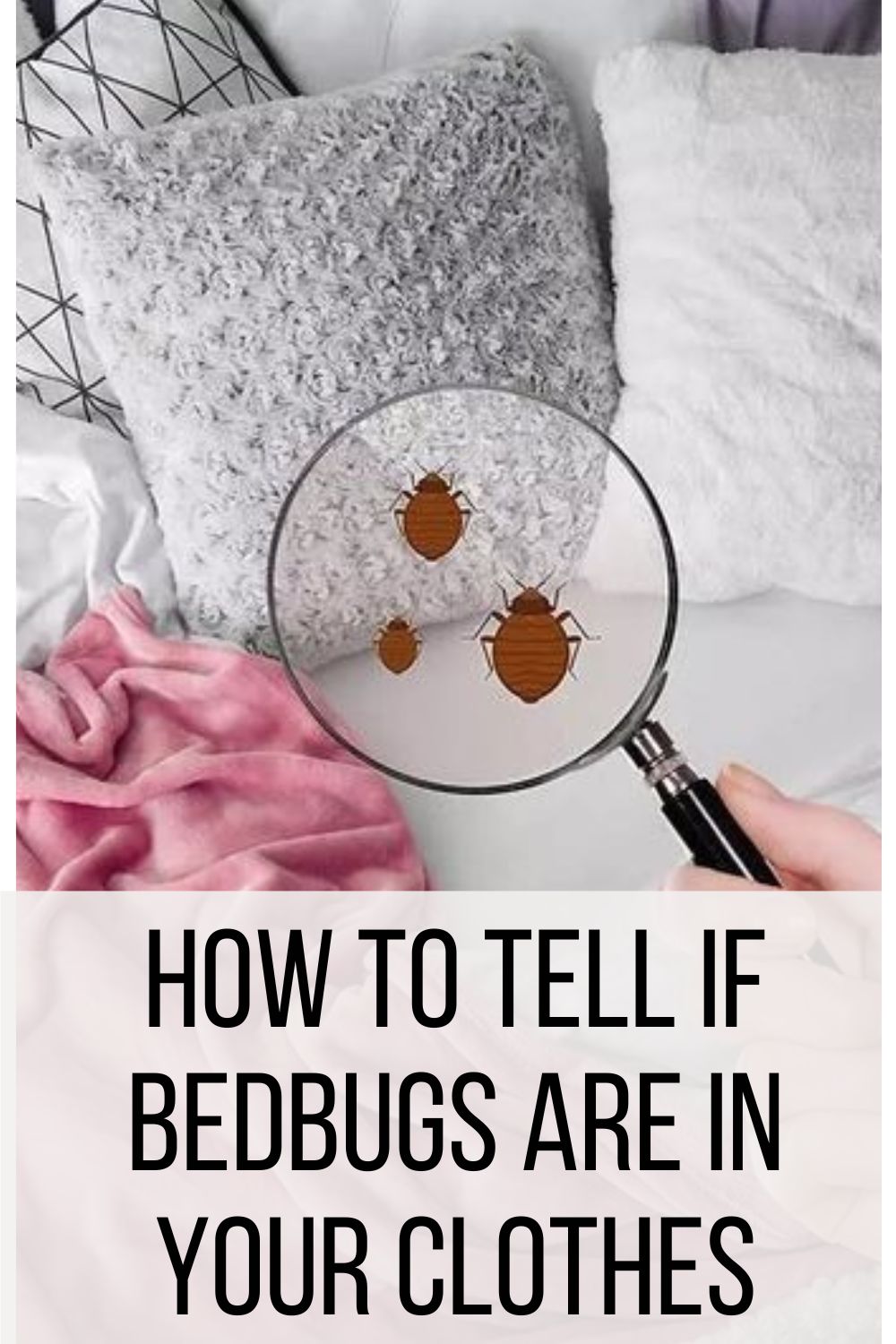How to Tell If Bedbugs are in Your Clothes