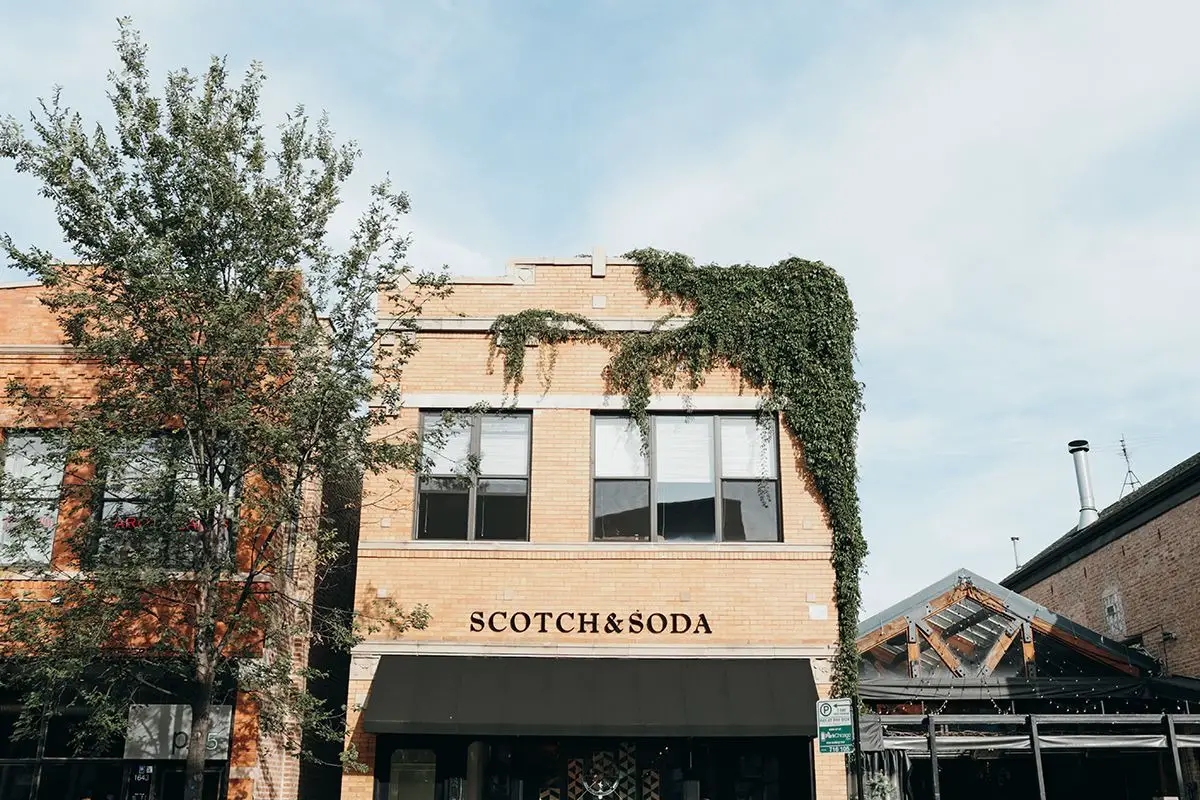 Scotch and Soda