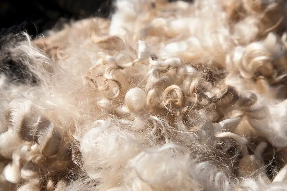 The Softest Types of Wool
