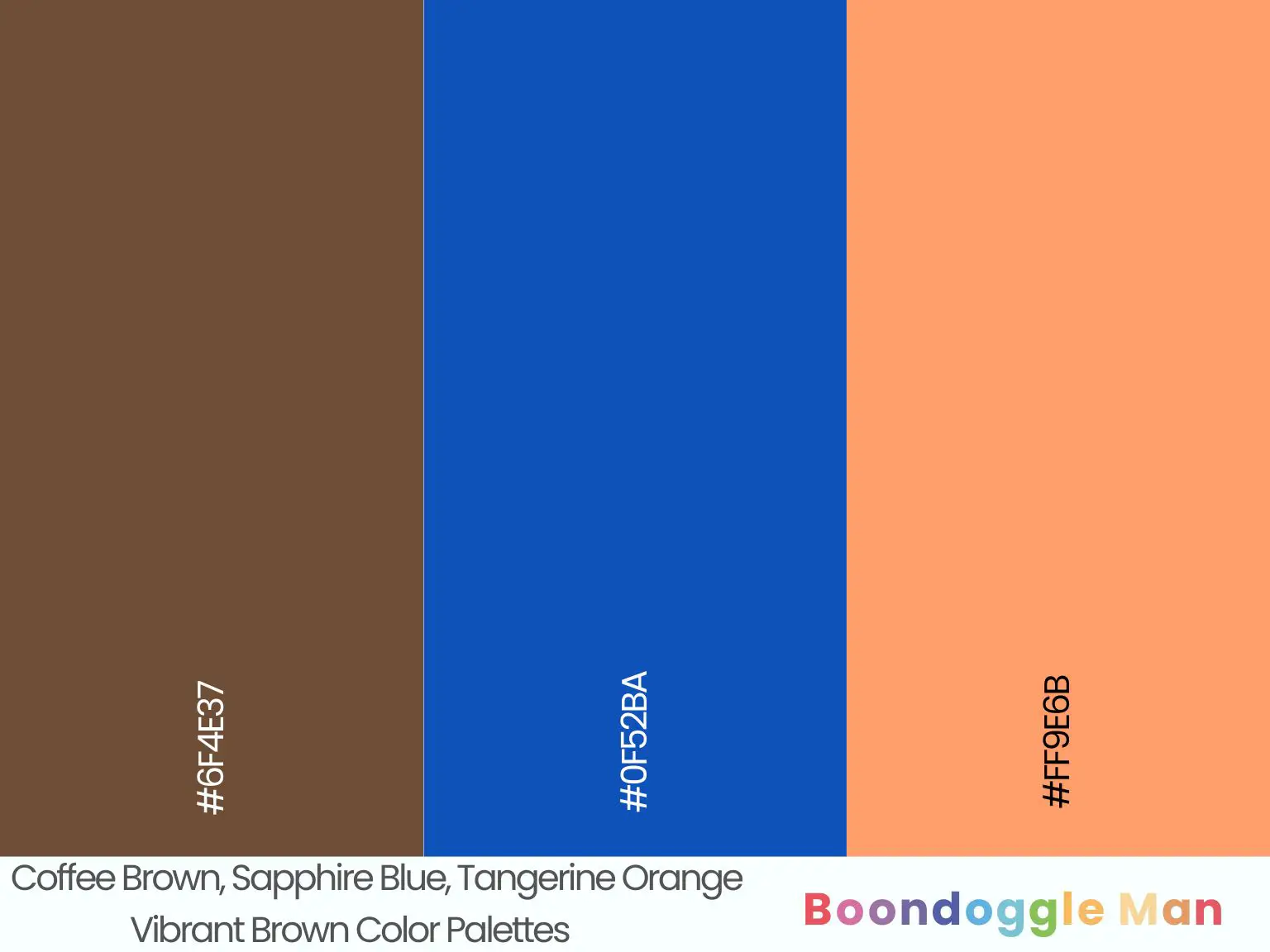 Coffee Brown, Sapphire Blue, Tangerine Orange