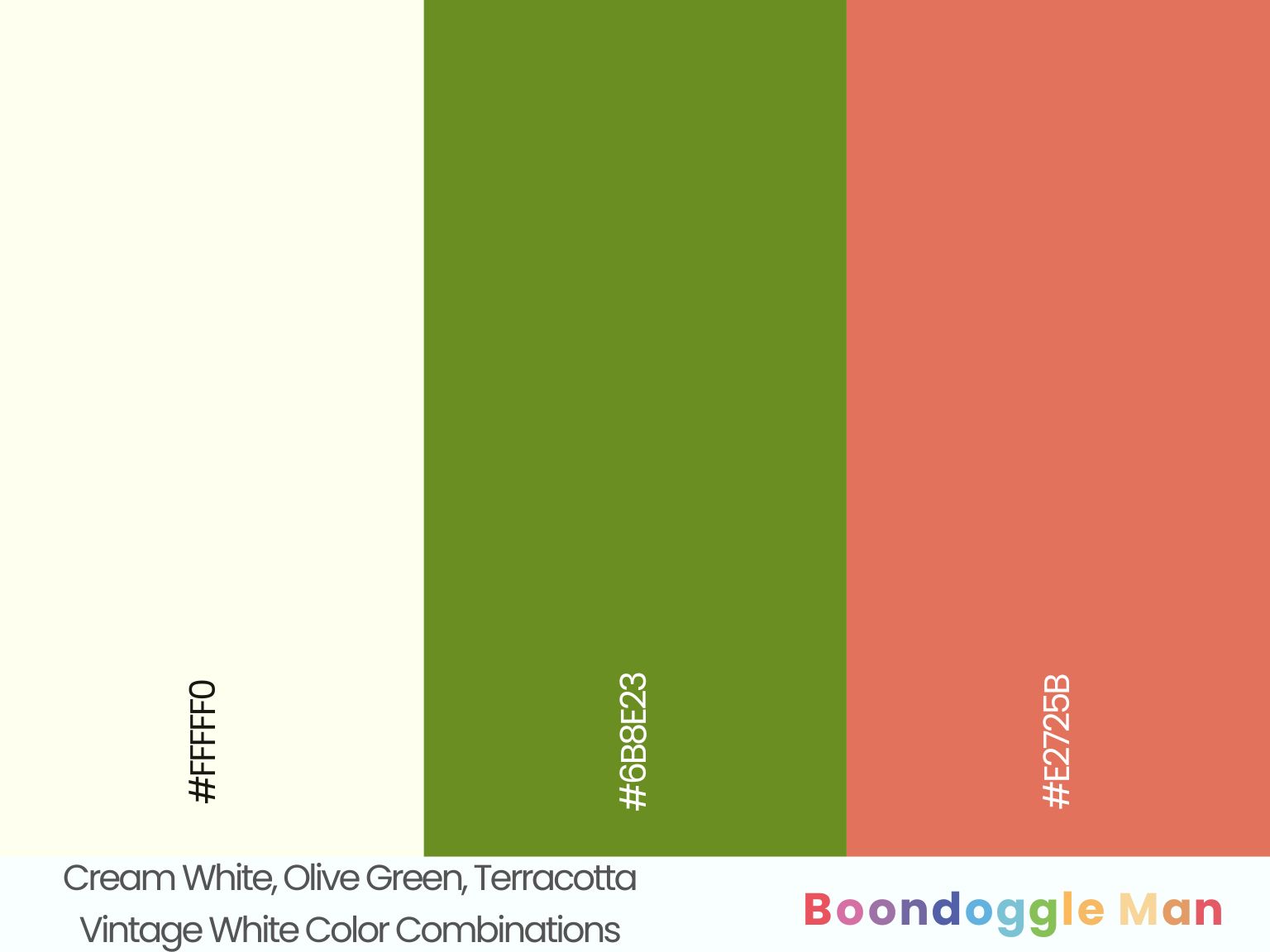 Cream White, Olive Green, Terracotta