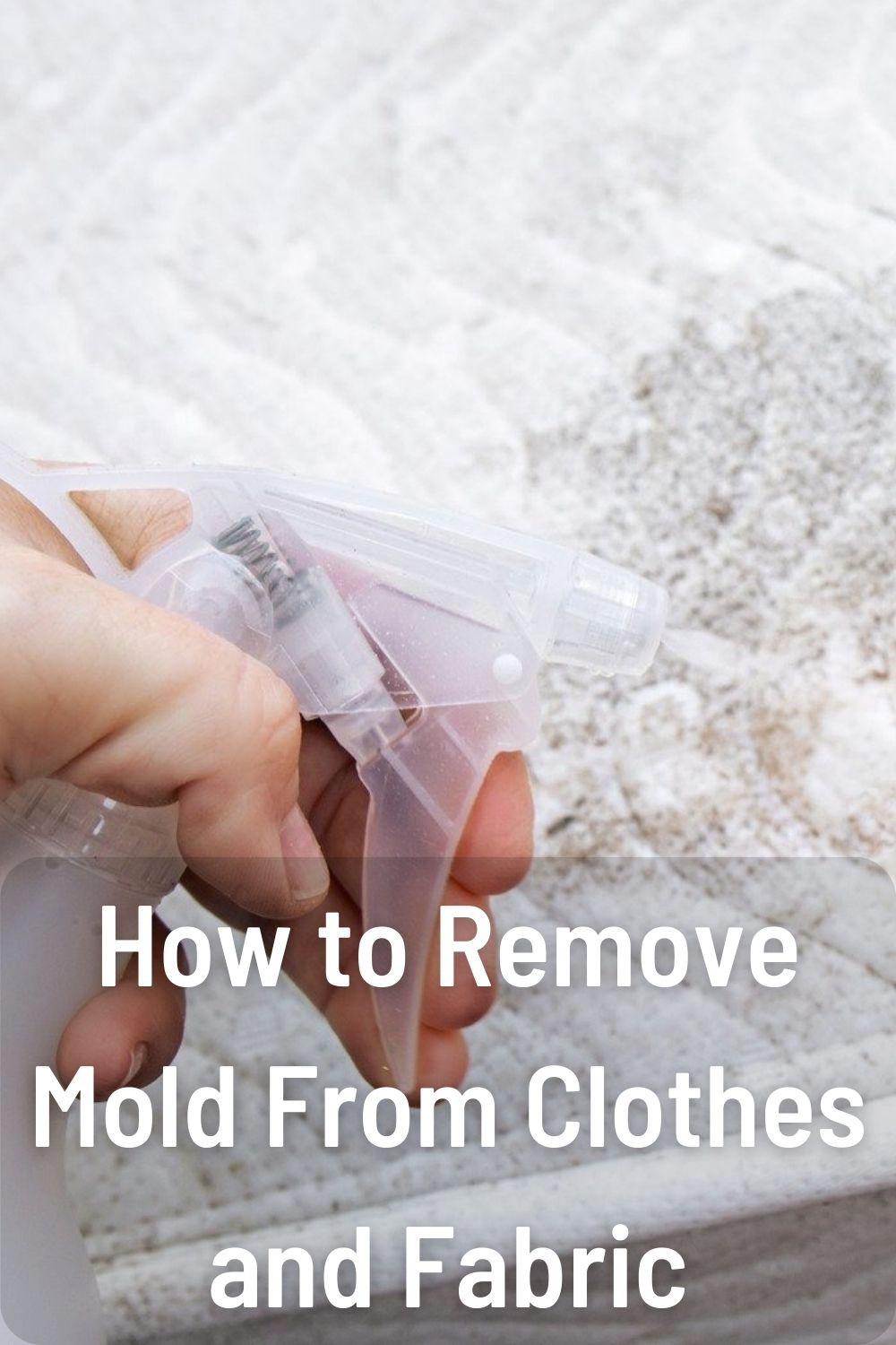 How to Remove Mold From Clothes and Fabric