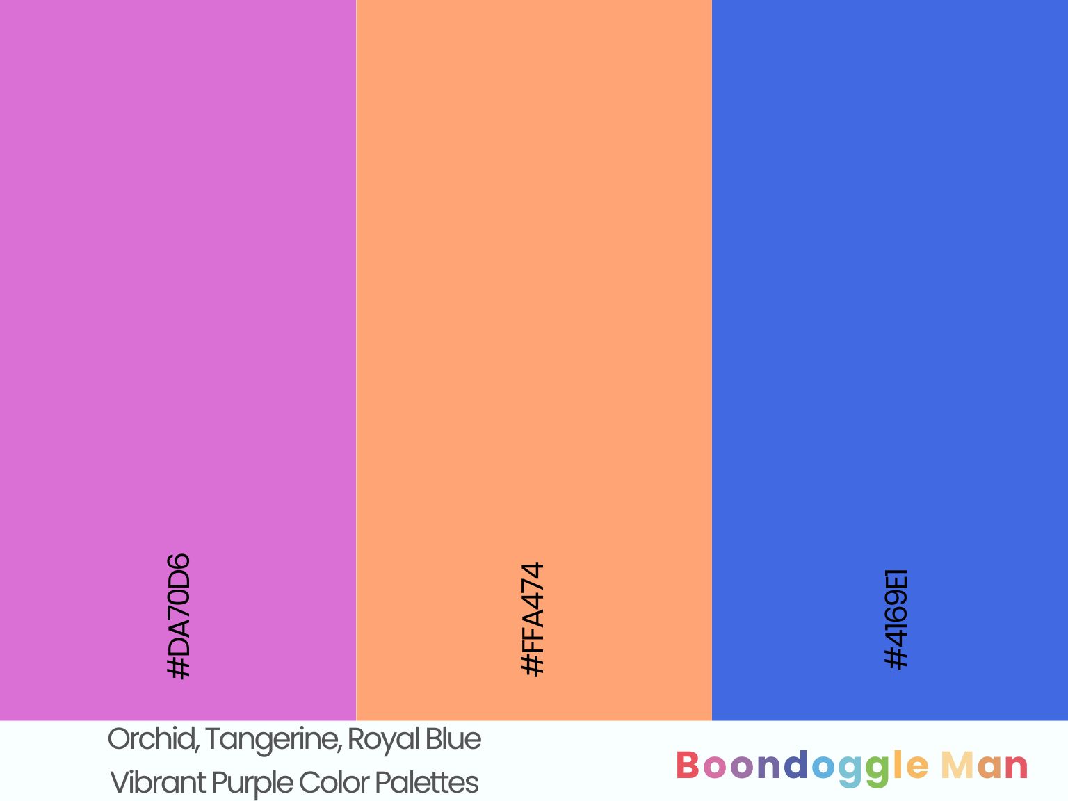 Orchid, Tangerine, Royal Blue