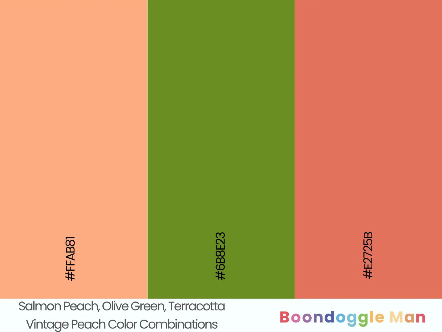 Salmon Peach, Olive Green, Terracotta