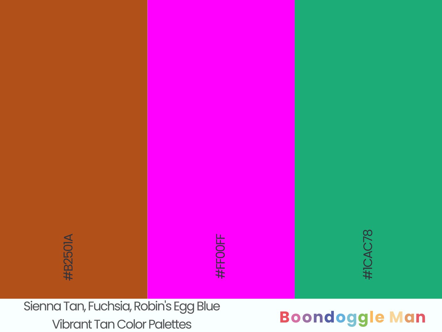 Sienna Tan, Fuchsia, Robin's Egg Blue